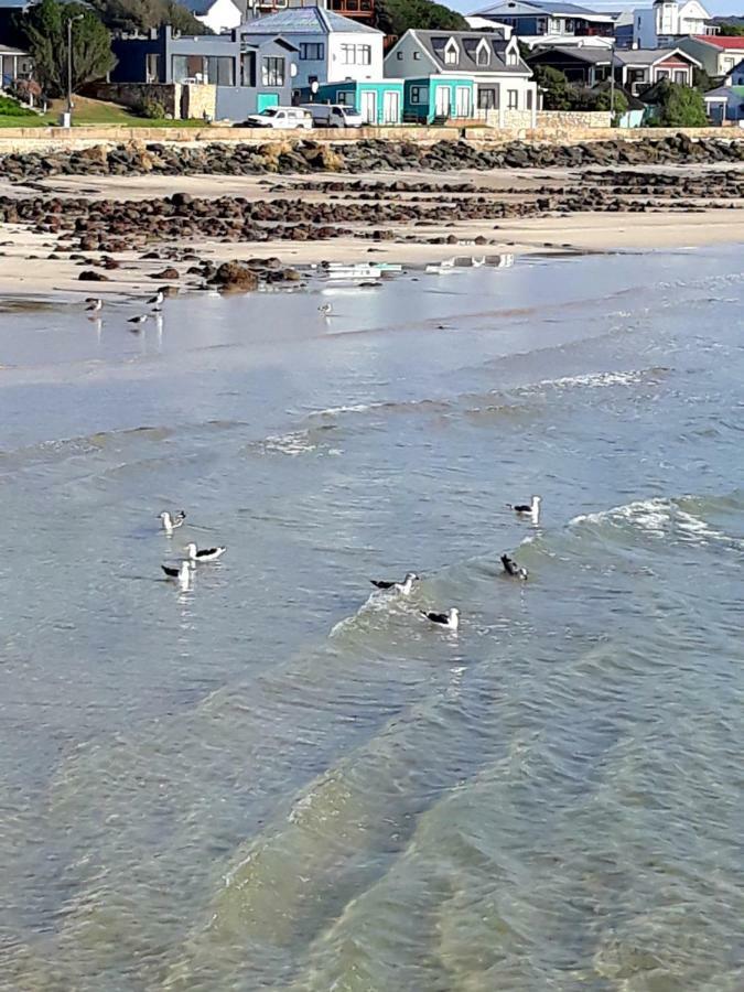 Lieflappie❤ Apartment Stilbaai